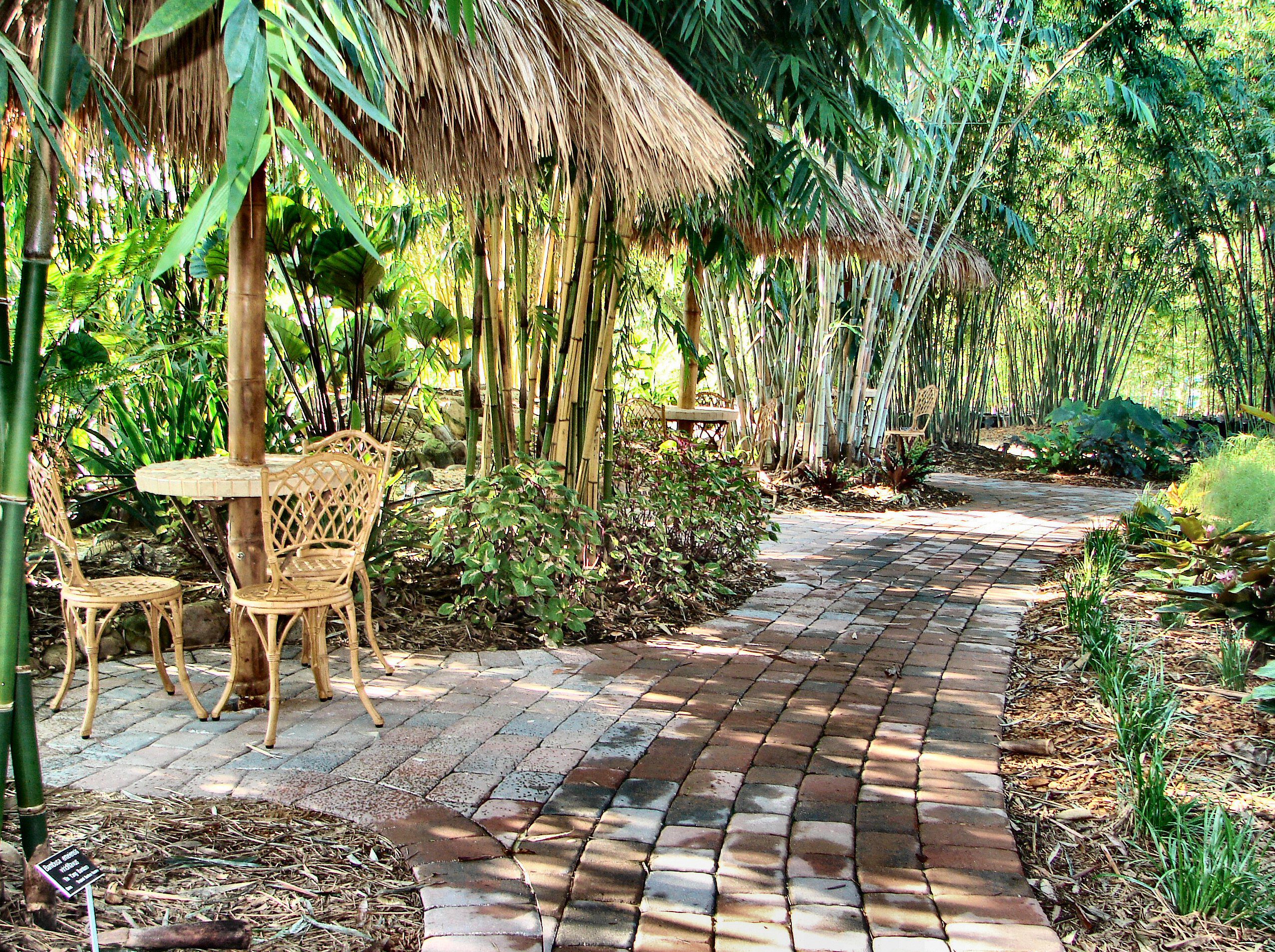 TB Nursery_garden18