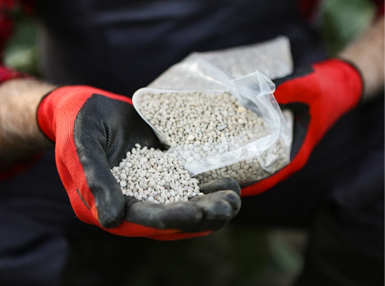 Person handling white granular material in bag