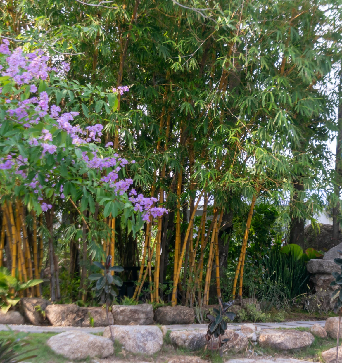 Lush garden with bamboo and flowers